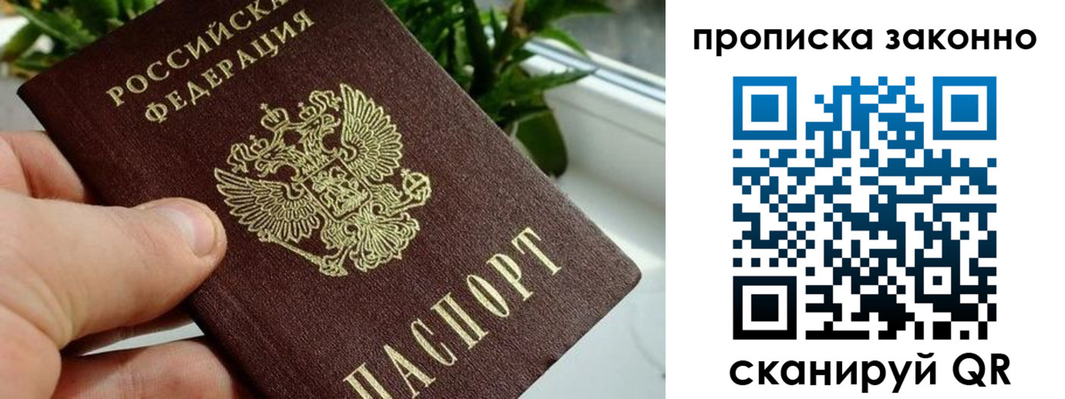 временная прописка в Видном